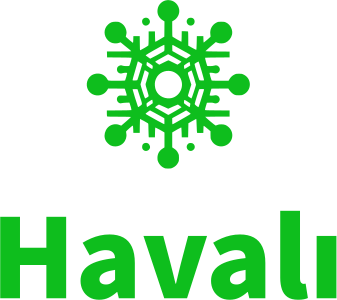 Havalı logo design