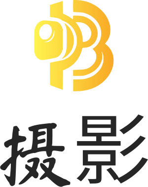 摄影 logo design