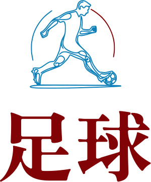 美式足球 标志设计