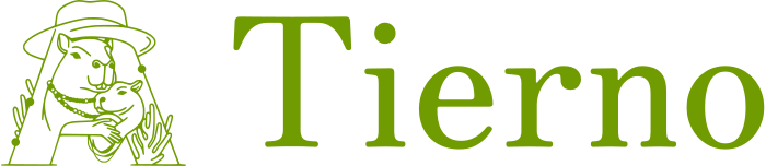 Tierno logo design