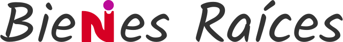 Bienes Raíces logo design
