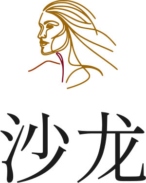 沙龙 logo design