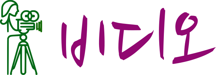비디오 logo design