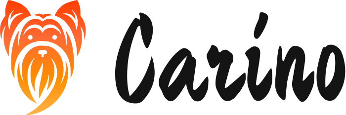 Carino logo design