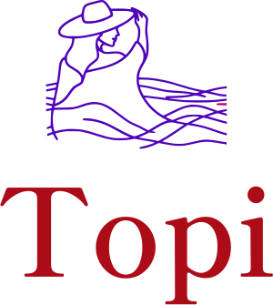 Topi logo design