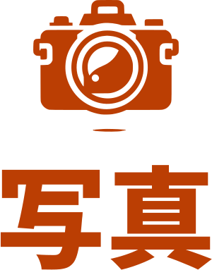 写真 ロゴデザイン