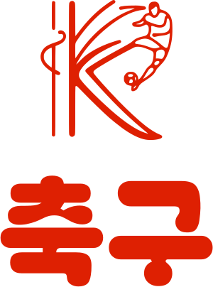축구 logo design