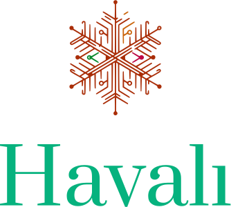 Havalı logo design