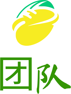 团队 logo design