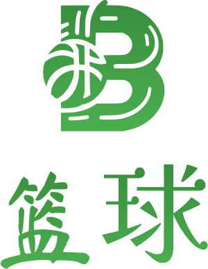 篮球 logo design