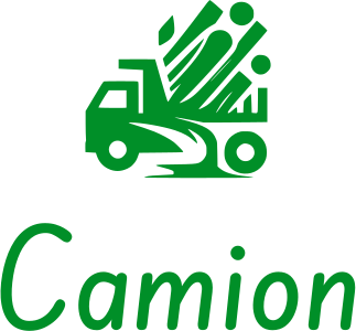 Camion logo design