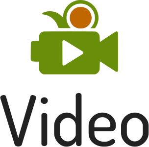 desain logo Video