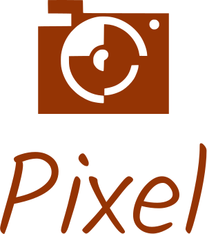 Pixel logo design