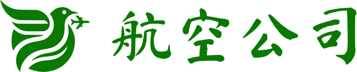航空公司 logo design
