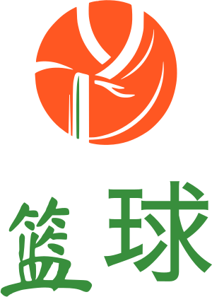 篮球 标志设计