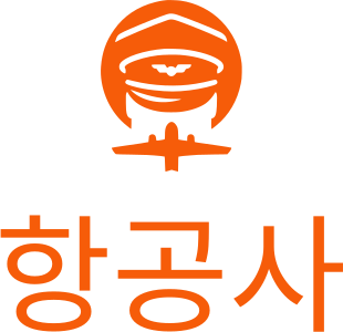 항공사 logo design