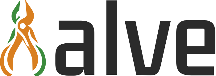 Valve logo design