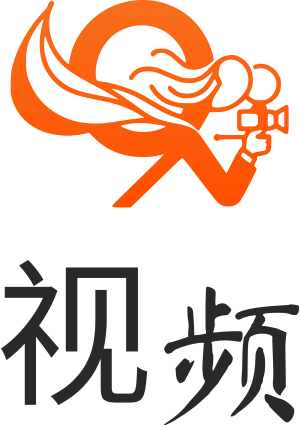 视频 标志设计