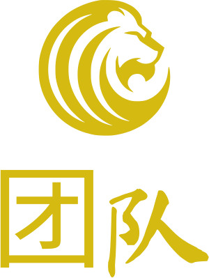 团队 logo design