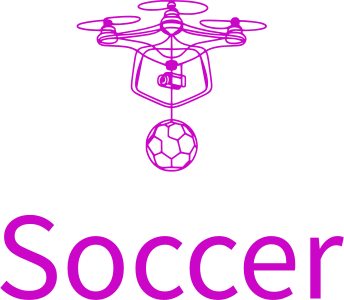Soccer logo design