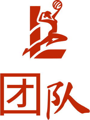 团队 logo design