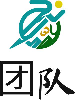 团队 logo design