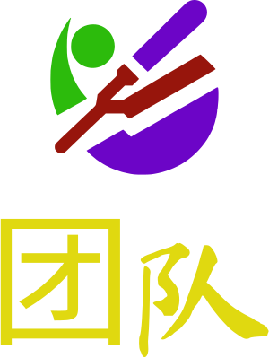 团队 logo design