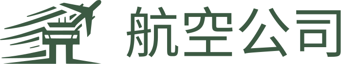 航空公司 标志设计