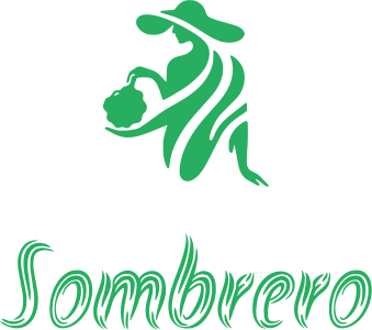 diseño de logotipo Sombrero