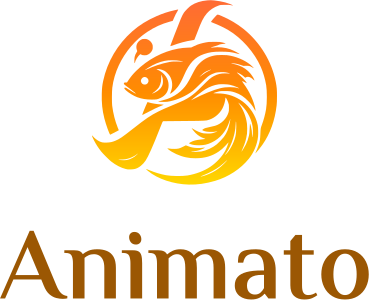 Animato logo design