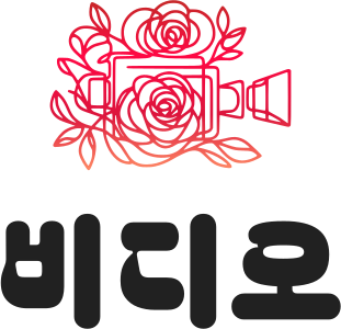 비디오 logo design