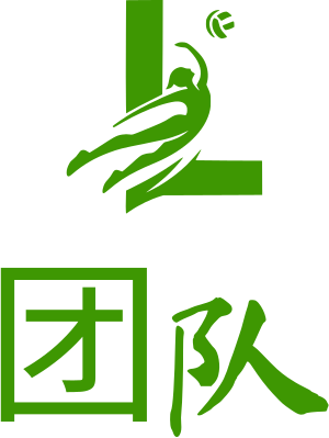 团队 logo design