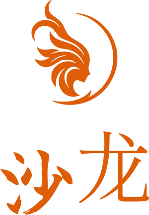 沙龙 logo design
