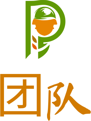 团队 logo design