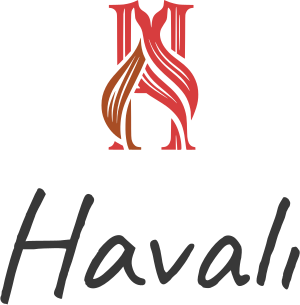 Havalı logo tasarımı