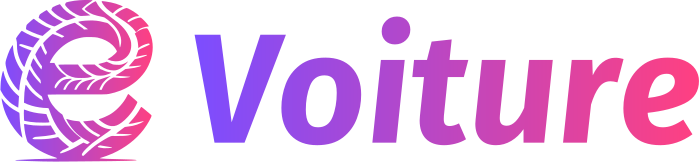 Voiture logo design
