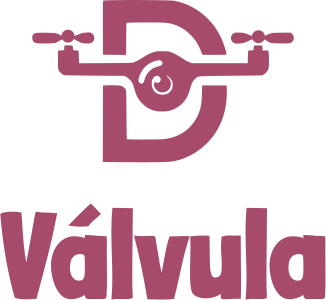 diseño de logotipo Válvula