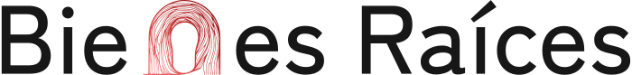Bienes Raíces logo design