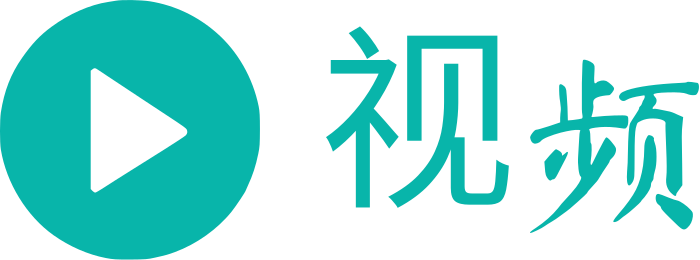 视频 logo design