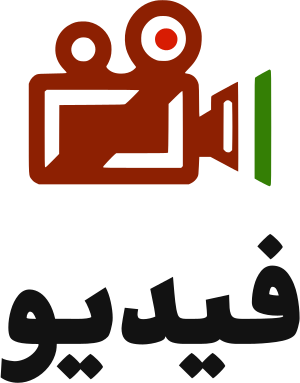 فيديو logo design