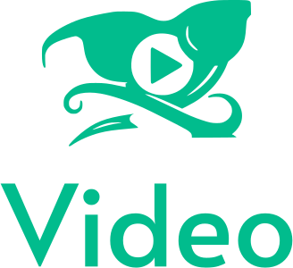 Video logo design