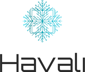 Havalı logo design