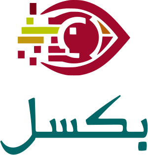 بكسل logo design