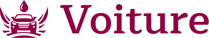 Voiture logo design