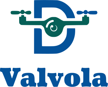 design del logo Valvola