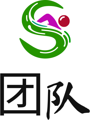 团队 logo design