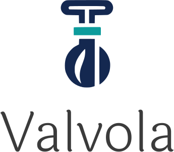 design del logo Valvola