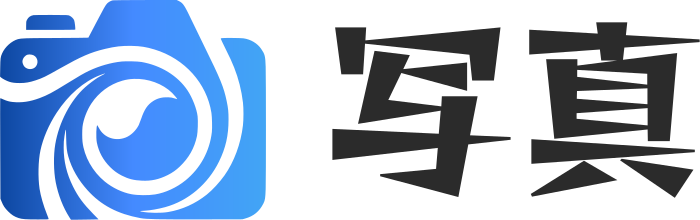 写真 logo design