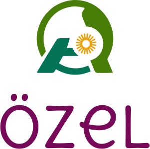 Özel logo design