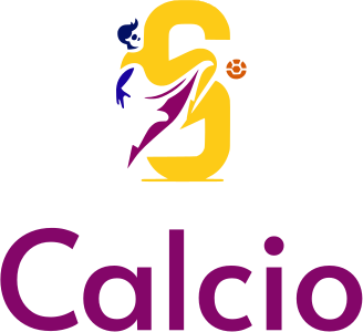 Calcio logo design
